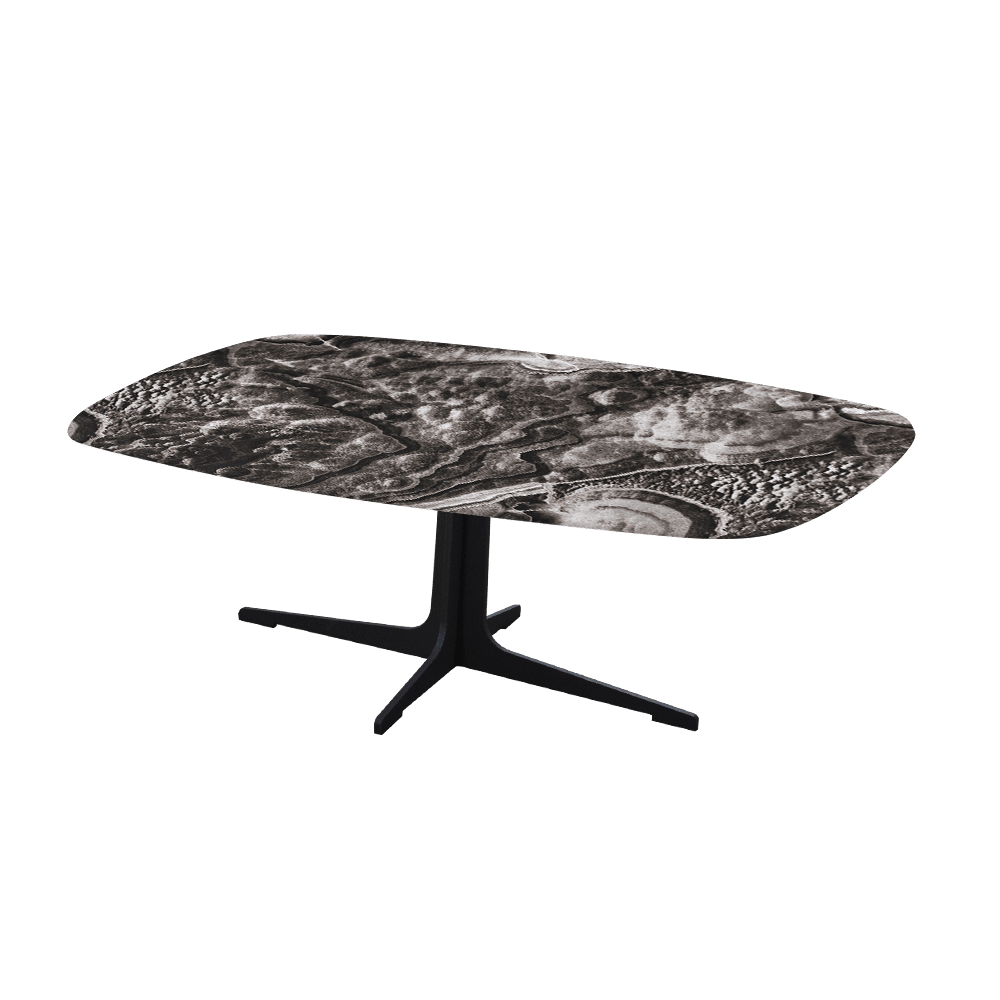 TARINA – Mix & Match Marble Coffee Table with Black Metal Leg (1200mm x 700mm)