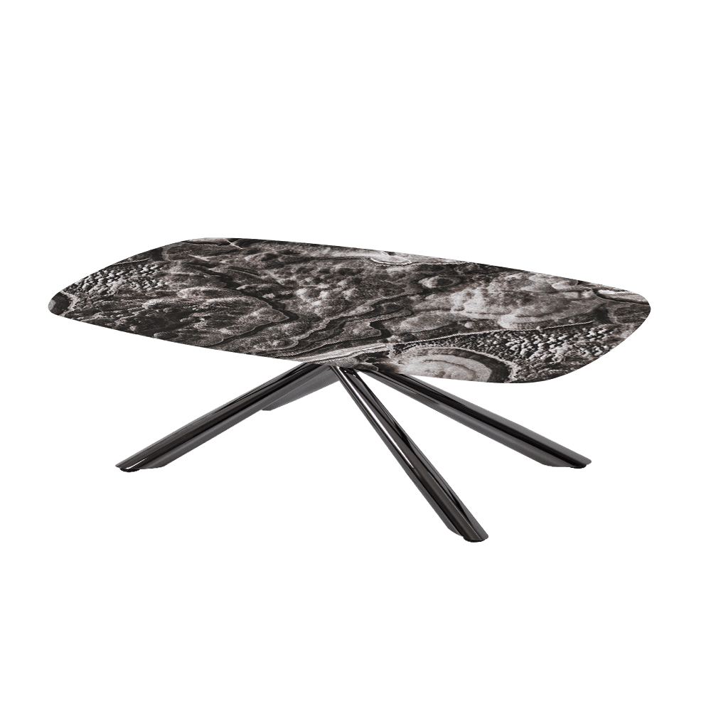 XYLIA – Mix & Match Marble Coffee Table with Black Glossy Metal Leg (1200mm x 700mm)