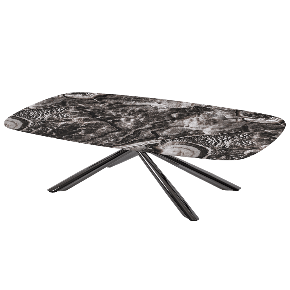 XYLIA – Mix & Match Marble Coffee Table with Black Glossy Metal Leg (1400mm x 800mm)