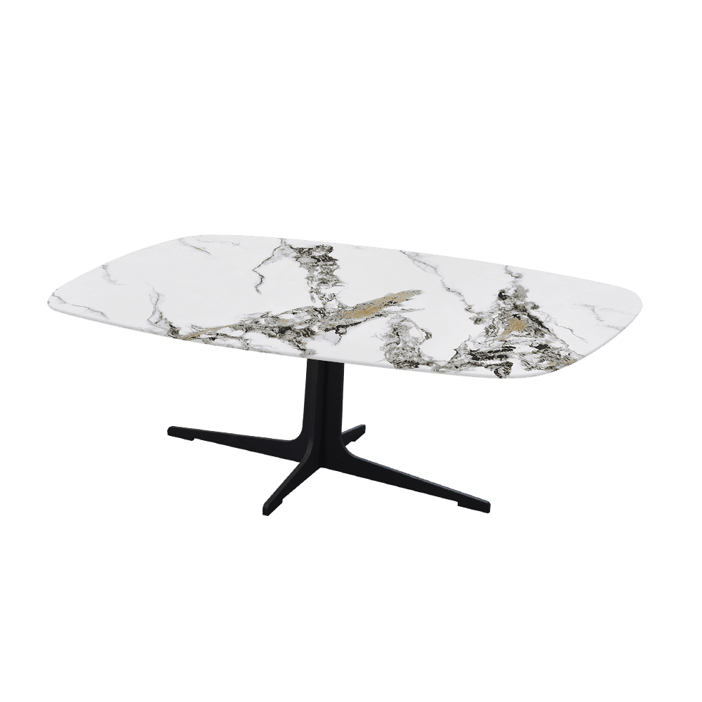 TARINA – Mix & Match Marble Coffee Table with Black Metal Leg (1200mm x 700mm)