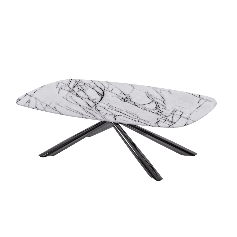 XYLIA – Mix & Match Marble Coffee Table with Black Glossy Metal Leg (1200mm x 700mm)