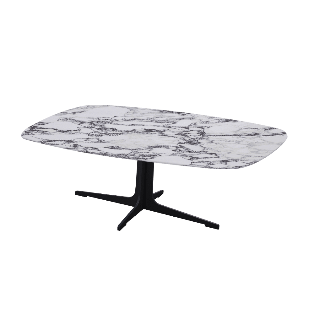 TARINA – Mix & Match Marble Coffee Table with Black Metal Leg (1200mm x 700mm)