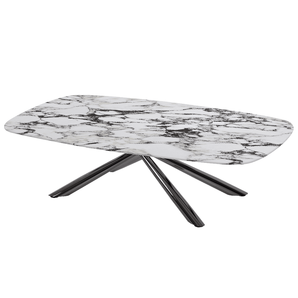 XYLIA – Mix & Match Marble Coffee Table with Black Glossy Metal Leg (1400mm x 800mm)