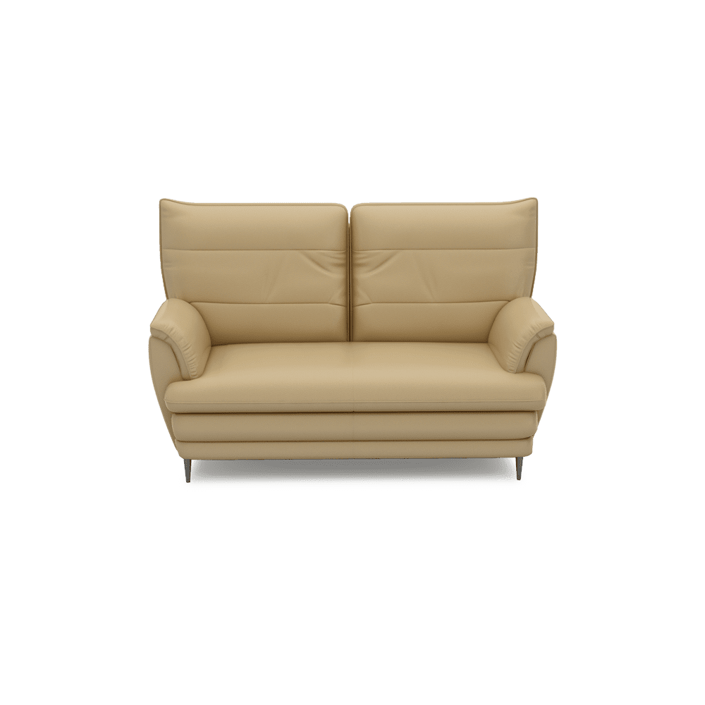 GENERAL - High Back Fabric / Leather Sofa (2-seater)
