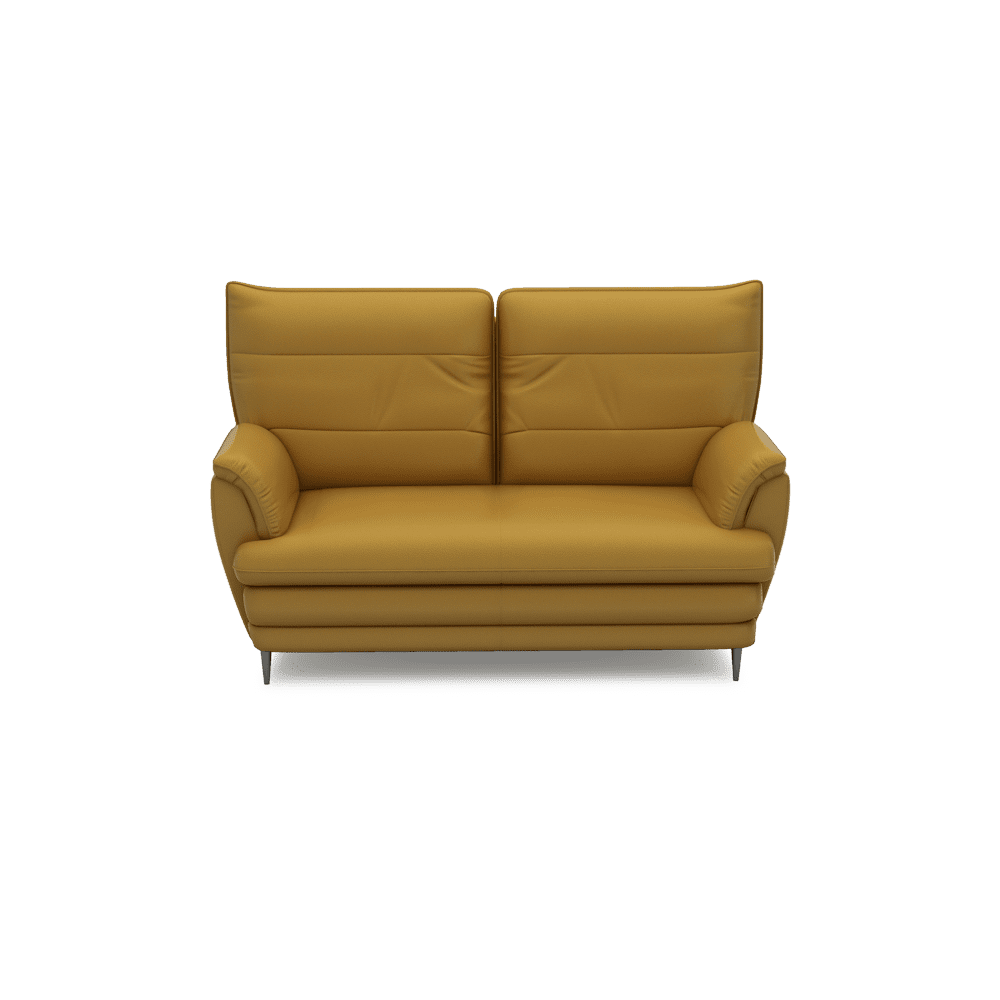 GENERAL - High Back Fabric / Leather Sofa (2-seater)
