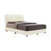 Queen - Divan Bed Set 5' x 8