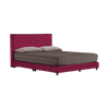 Queen - Divan Bed Set 5' x 8